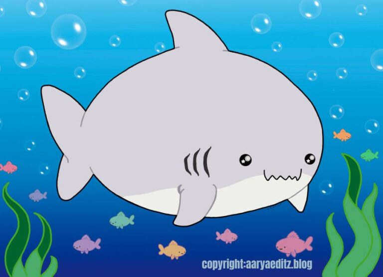 cute:s4nremv56q0= shark drawing