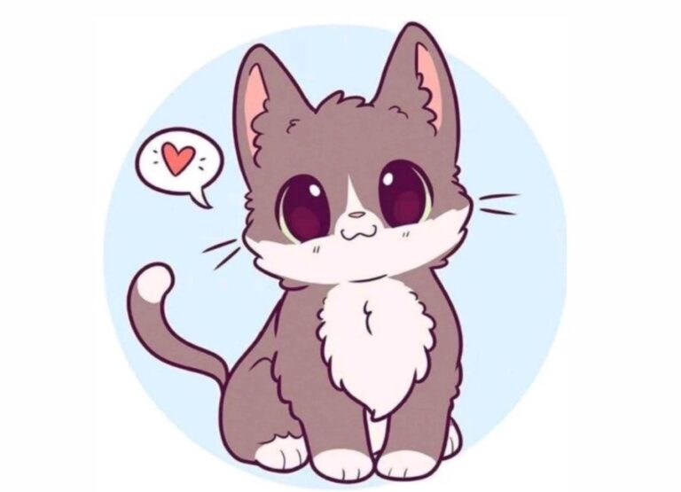 kawaii:p1ifmjgpipg= cat